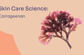 What Is Carrageenan in Skin Care? Uses, Benefits & Side Effects What Is Carrageenan in Skin Care? Uses, Benefits & Side Effects