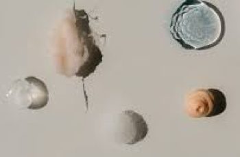 Skincare and Hormones: The Truth About Endocrine Disruptors You Need to Know