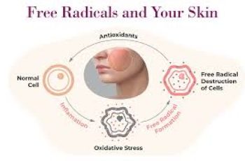 The Truth About Free Radicals: How to Protect Your Skin from Oxidative Stress
