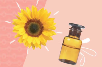 Dry Oils in Skincare: Lightweight Hydration Without the Grease