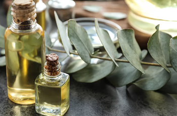 Eucalyptus Oil in Skin Care: Benefits, Risks, and Safe Uses