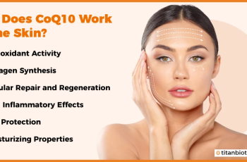 Everything You Need to Know About CoQ10 in Skin Care Everything You Need to Know About CoQ10 in Skin Care